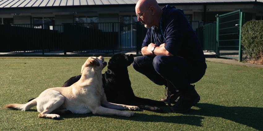 Opleiding hulphonden