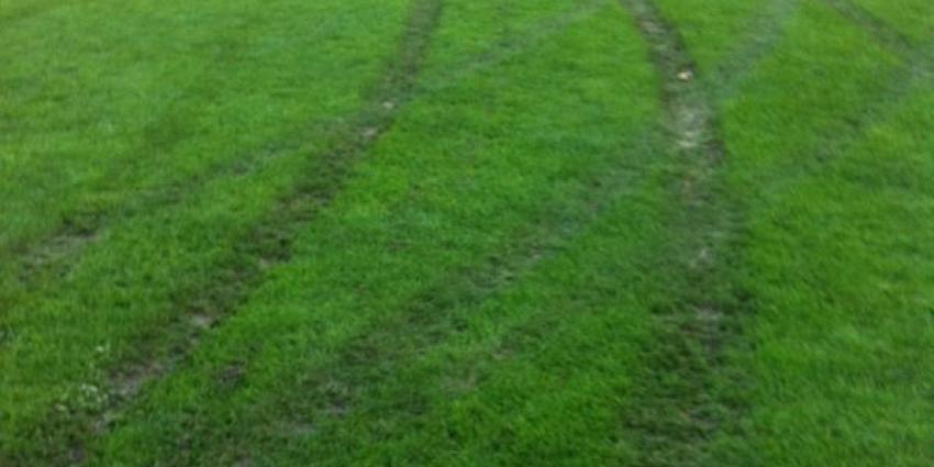 Man rijdt met auto voortuin in burenruzie