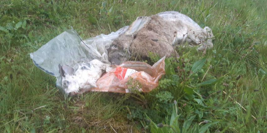 Foto van dode dieren in plastic
