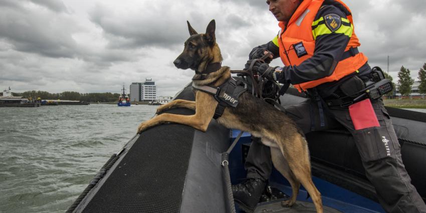 Grote oefendag voor tientallen politiehonden
