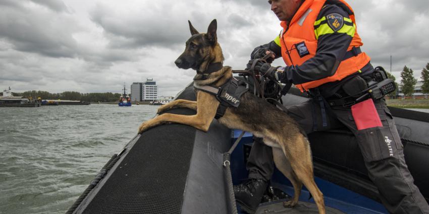 Grote oefendag voor tientallen politiehonden