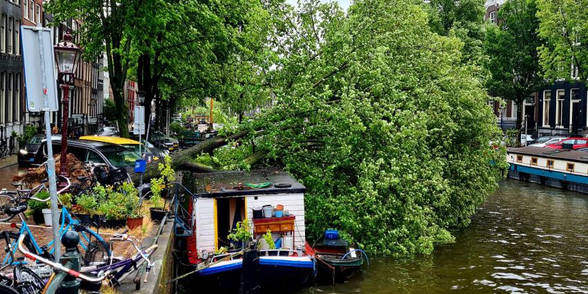 Schade door storm Poly