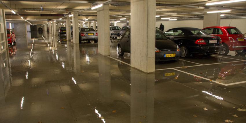 Slopers Mini onder druk van gepubliceerde foto's naar politie