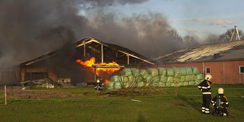 Grote brand doodt 4000 biggen en 700 varkens  