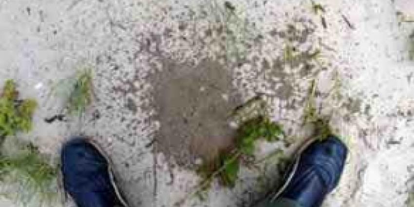 Plasje kost meer dan 400 euro