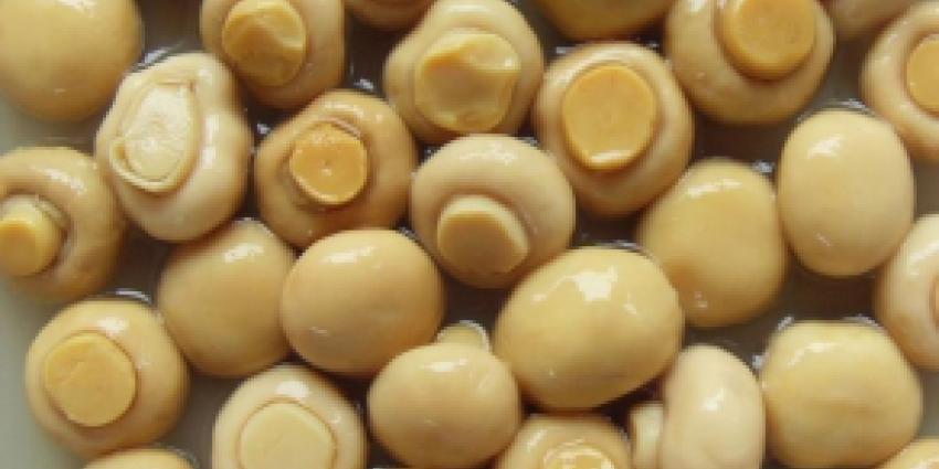 Inspectie SZW checkt werk van champignonplukkers