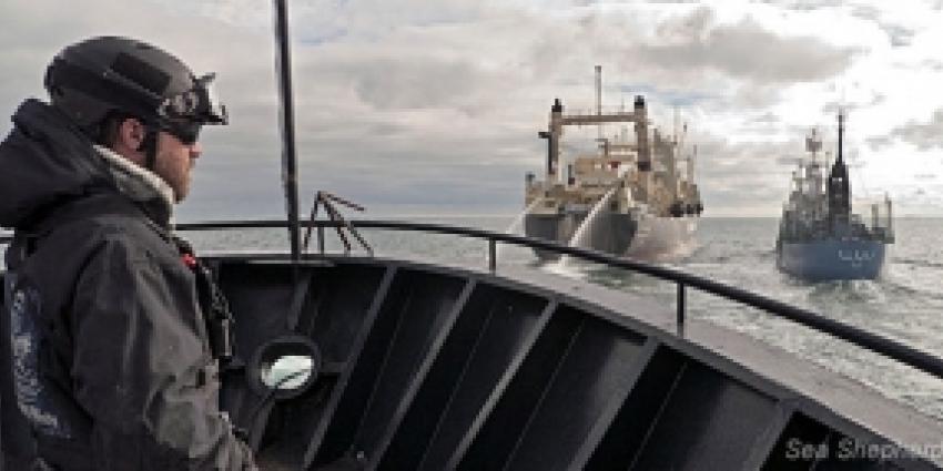 Nederland tegen walvisvaart en voor veiligheid op zee