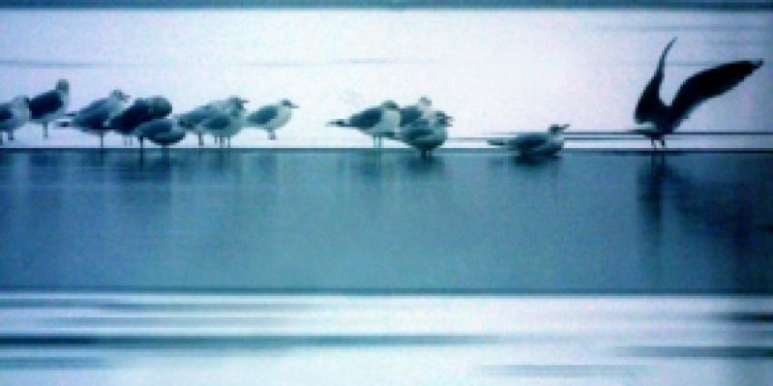 Kans Elfstedentocht lijkt verkeken