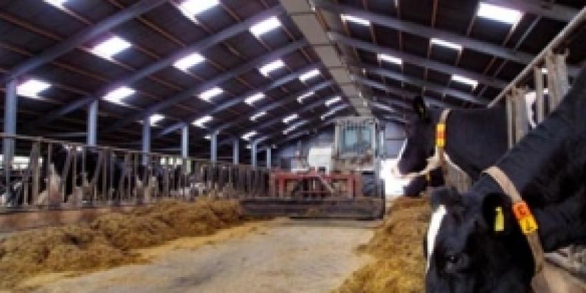 Zes verdachten aanhouden in onderzoek naar mestfraude