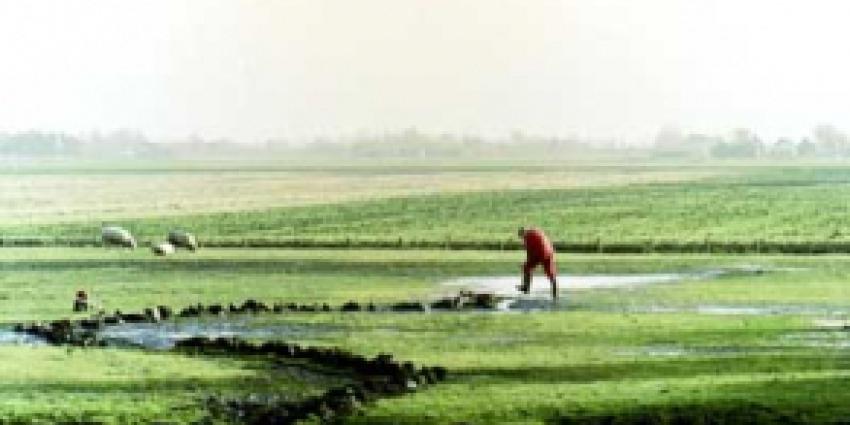 Ontpoldering van Hedwigepolder gaat door