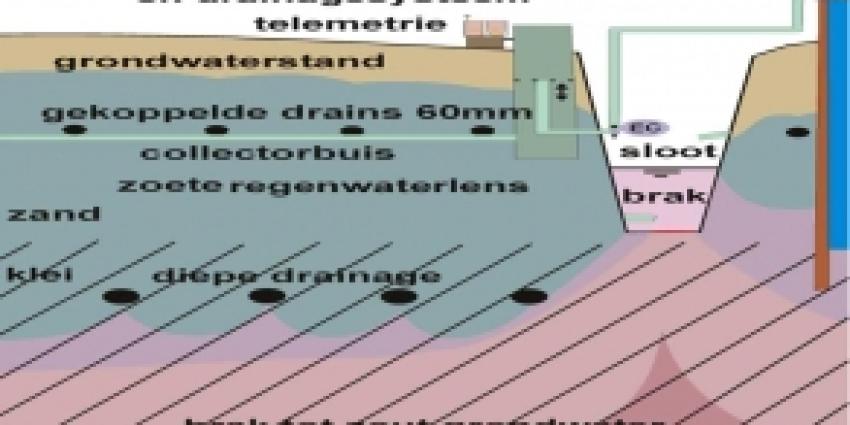 Project zoetwaterberging van start op Texel