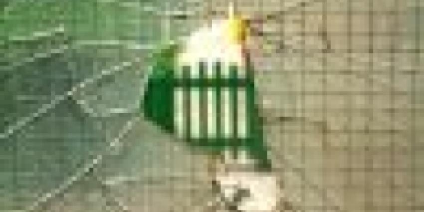 Man aangehouden na vernielen ruit