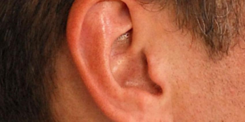 Bloederige ruzie tussen broers, oor eraf gebeten