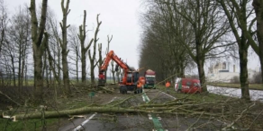 N33 tussen Meeden en Veendam afgesloten om bomenkap