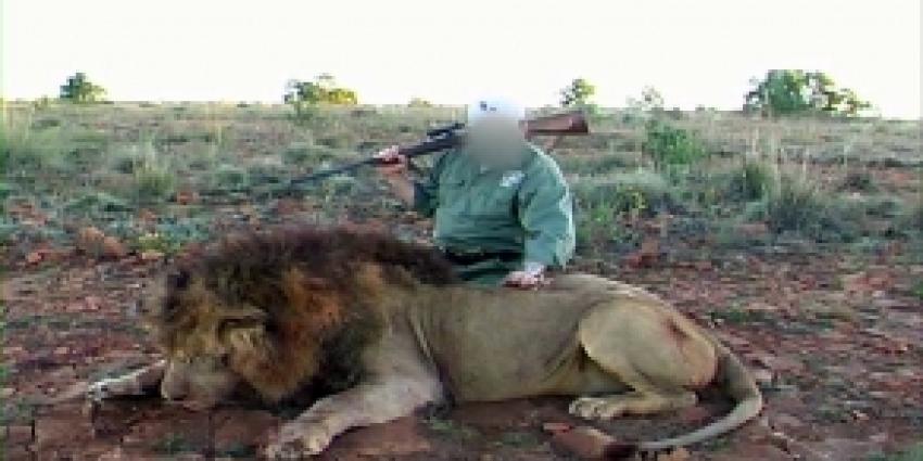 &#039;Leeuw met uitsterven bedreigd&#039;