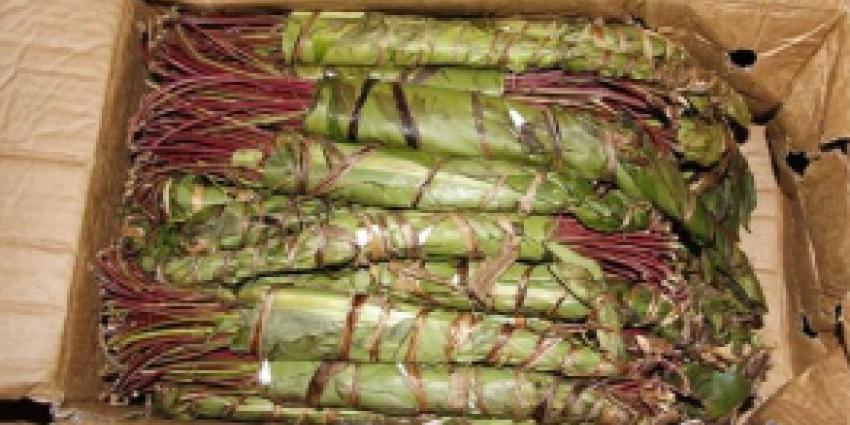 Weer qat-vangst door Marechaussee bij Hazeldonk