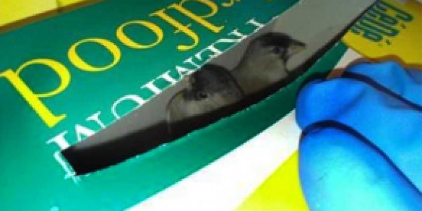 Douane Schiphol treft 34 vogeltjes aan in koffer