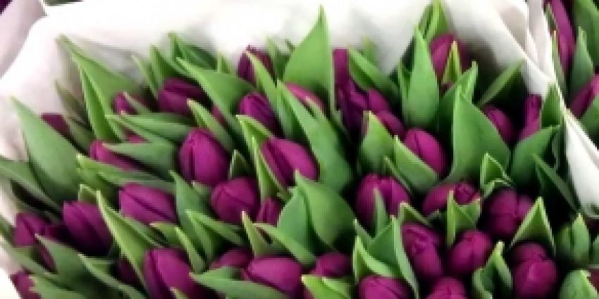 Herman Emmink (86) overleden