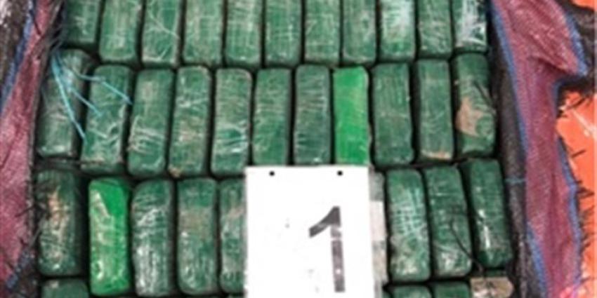 Douane vindt 1000 kilo cocaïne tussen bananen