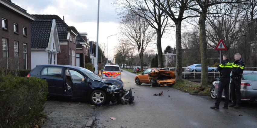Automobilist richt ravage aan in Wildervank