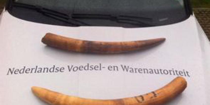 NVWA neemt ivoren slagtanden in beslag