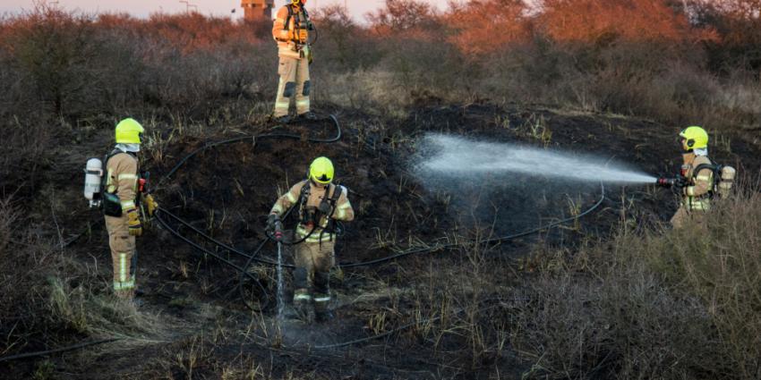 Duinen in brand Hoek van Holland
