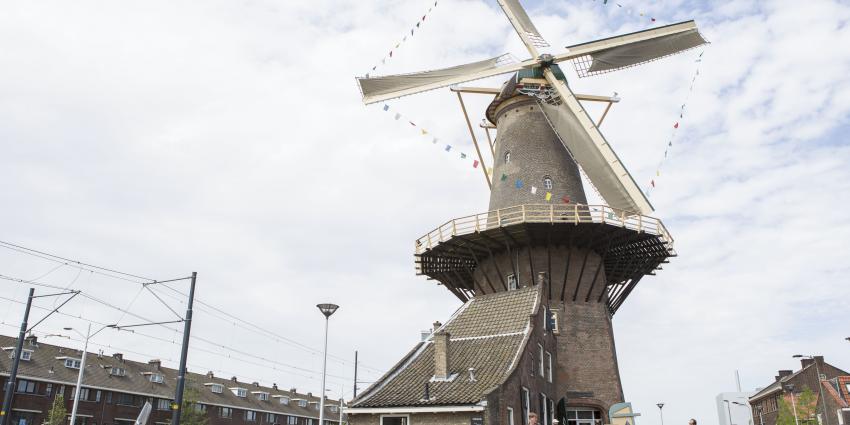 Molen