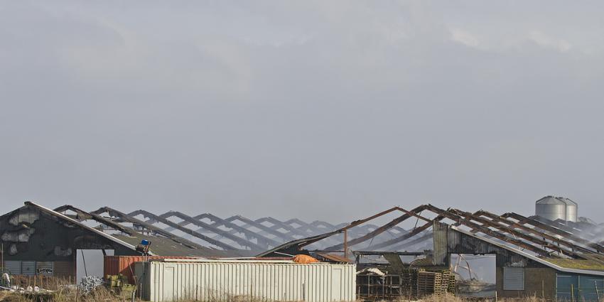 40.000 kippen komen om bij schuurbrand Veendam