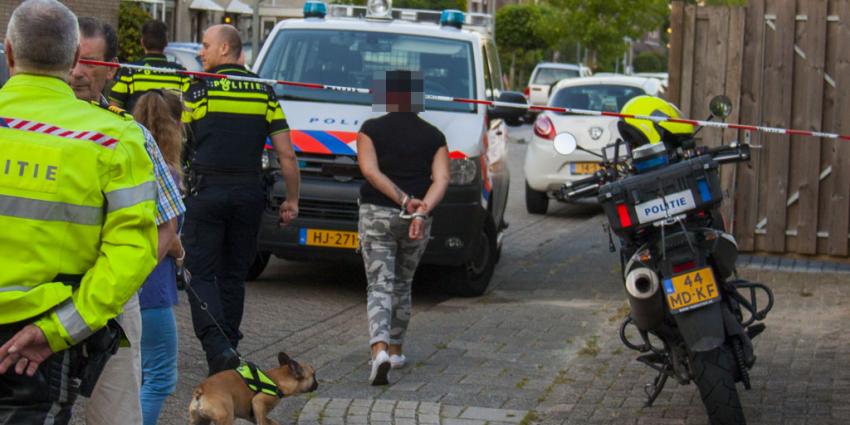 Politie lost waarschuwingsschot bij aanhouding in Schiedam