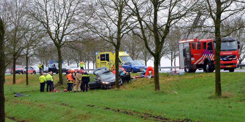 aanrijding-boom