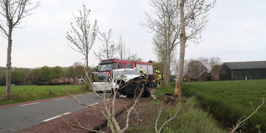 aanrijding-boom