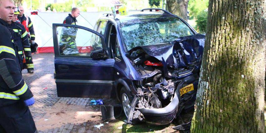 Twee gewonden bij auto tegen boom