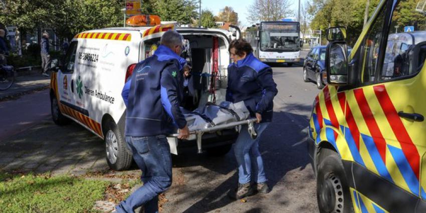  Zwaargewonde bij aanrijding, hond overleden