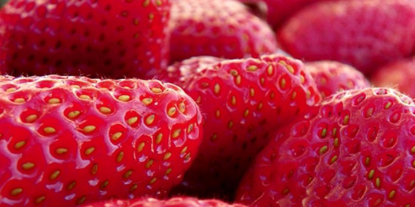 Meer aardbeien bij minder telers