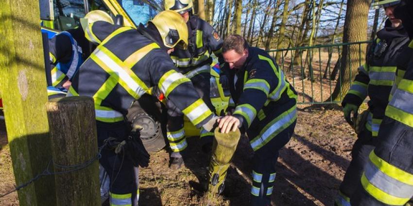 Amazone van paard gevallen in natuurgebied bij Boxtel, ambulance kan niet door toegangspoort