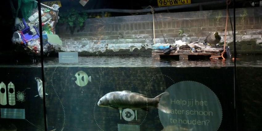 Amsterdamse gracht in ARTIS-Aquarium vernieuwd