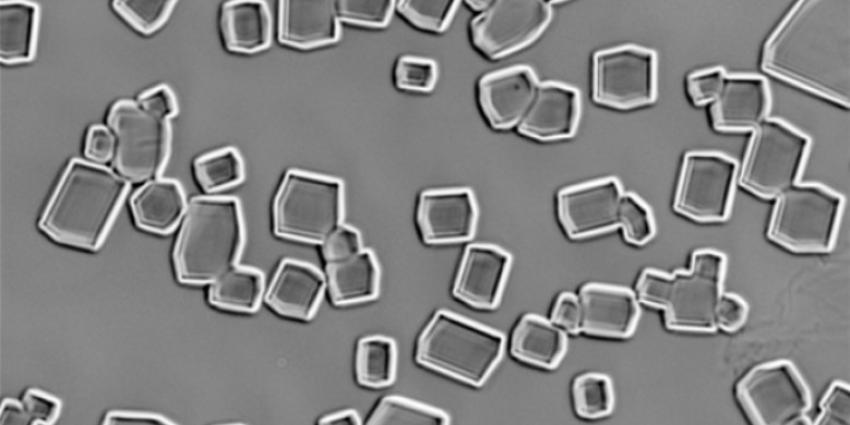 Digitaal ontworpen eiwit werkt als antivriesmiddel voor biologisch materiaal