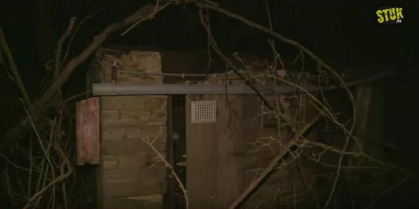 Veel commotie over eenzame aap in al 30 jaar gesloten dierentuin