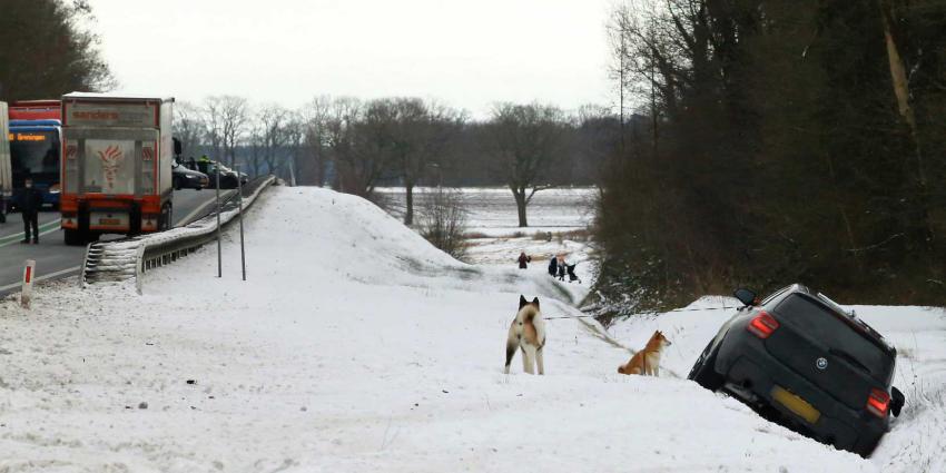 auto-sneeuw-ongeval-honden
