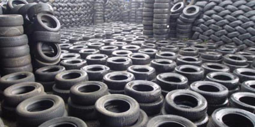 Tijgermug aangetroffen bij bandenbedrijf in Etten-Leur