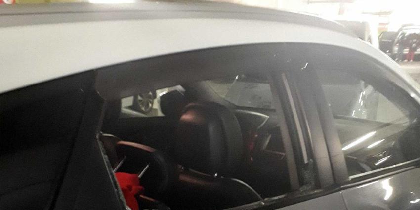 Politie bevrijdt in auto's opgesloten honden rond World Dog Show Rai