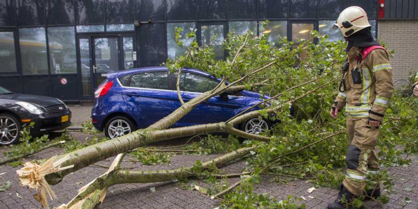 Weer meer fraudemeldingen van verzekeraars