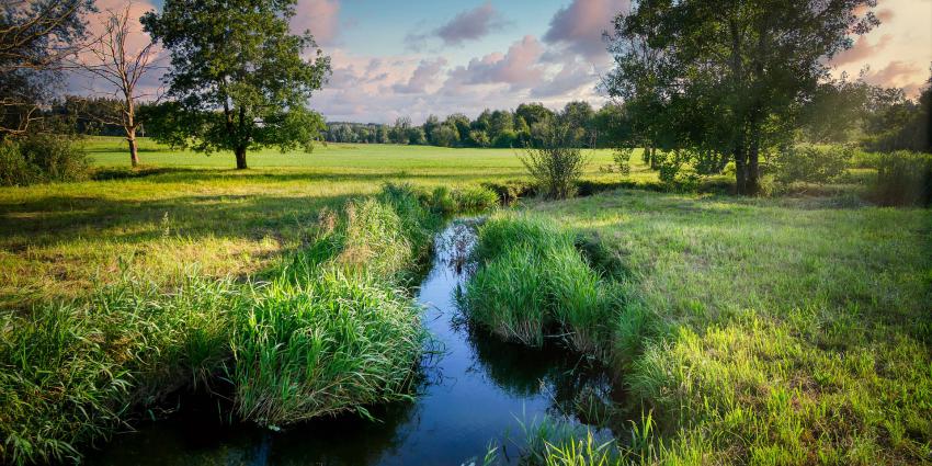 Natuur