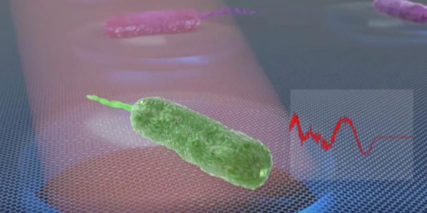 Wetenschappers TU Delft kunnen bacteriën afluisteren