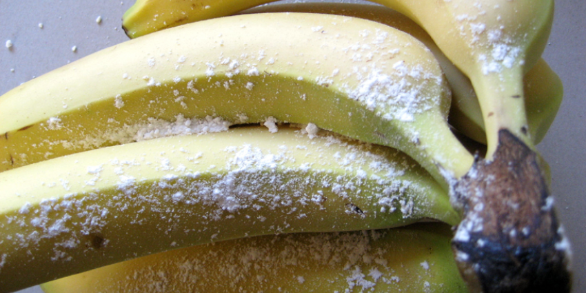 Doos bananen met kilo cocaïne gedoneerd aan voedselbank