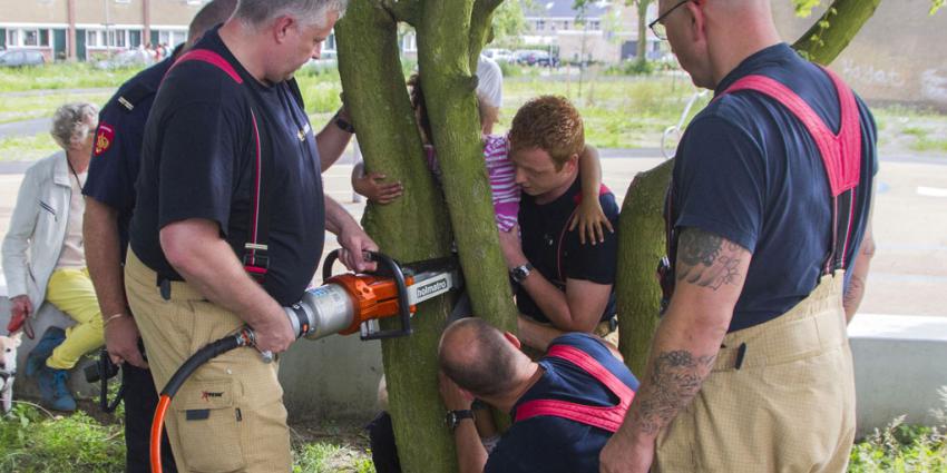 Brandweer redt bekneld kind uit boom