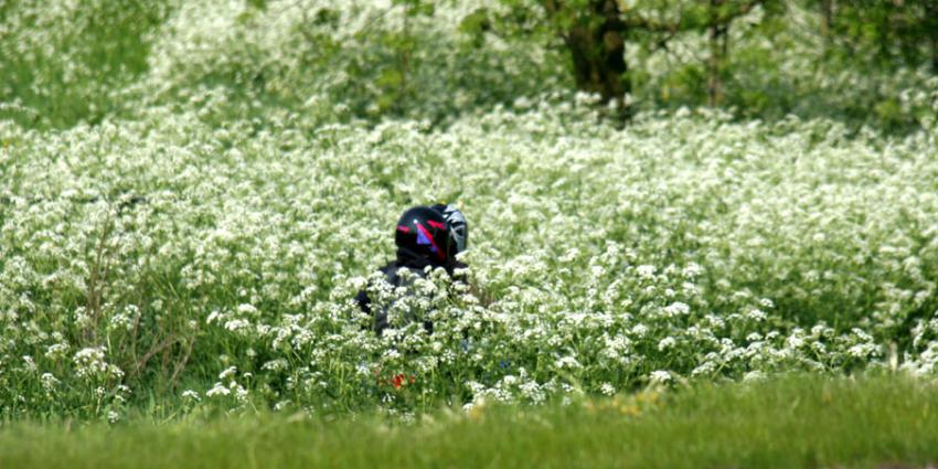 Kinderen lopen ernstige brandwonden op door Berenklauw