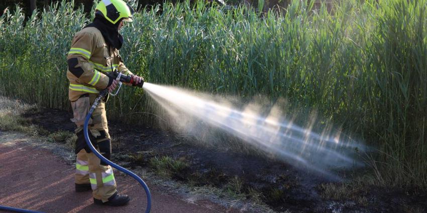 bermbrand-blussen