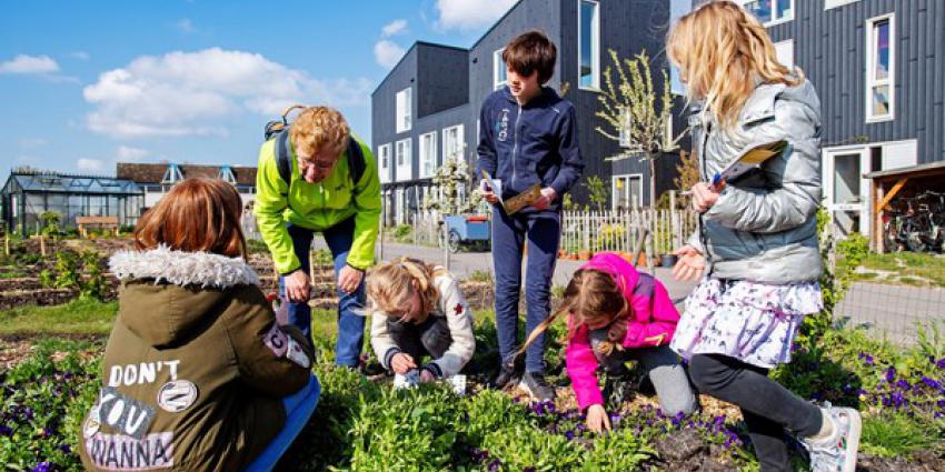 hommel, trotseren, ijskoud, voorjaarsweer, bijentelling