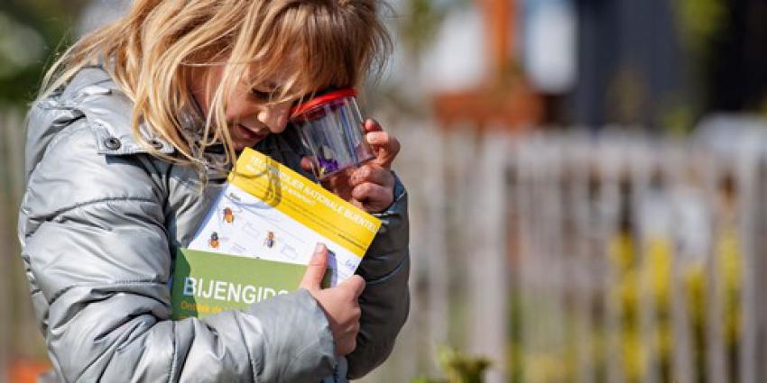 hommel, trotseren, ijskoud, voorjaarsweer, bijentelling